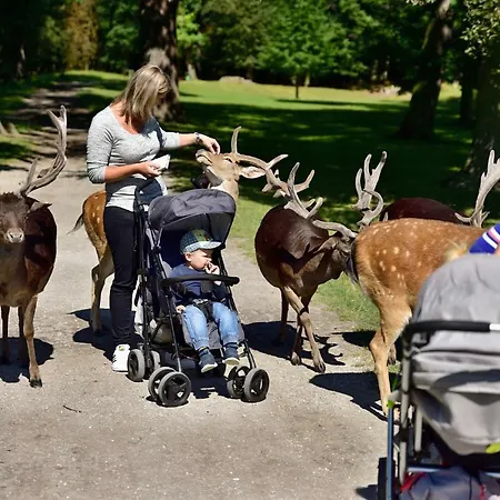 בית נופש Castle Area